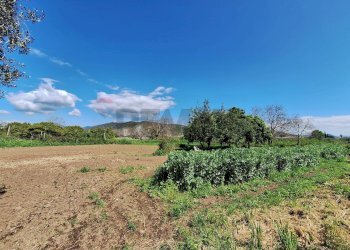 Vista delle montagne - Three-room apartment via Ponte Annibale
 
2, Capua - photo 17