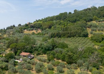 Foto 9 - Independent house Volterra - photo 9