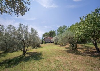 Foto 42 - Independent house Volterra - photo 42