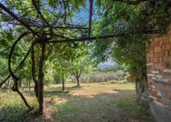 Foto 43 - Independent house Volterra - photo 43