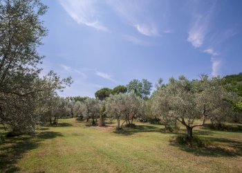 Foto 46 - Independent house Volterra - photo 46