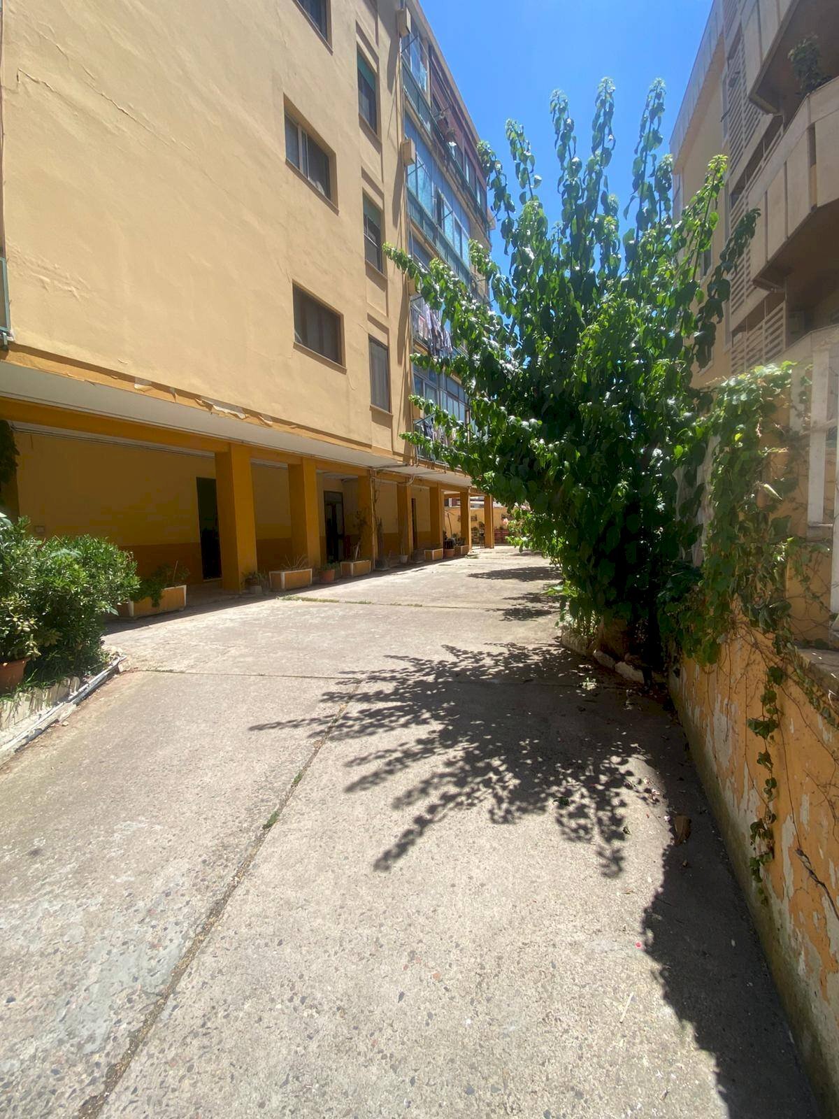 Foto 3 - Three-room apartment Cagliari - photo 3