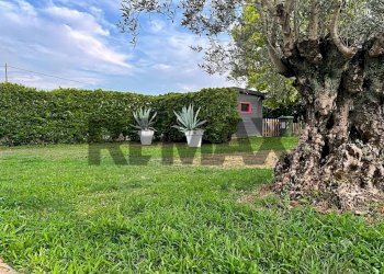 Giardino - Villa via pelosa
 
7, Selvazzano Dentro - photo 18