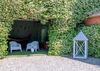 Giardino - Casa indipendente via Beati
 
156, Castelletto Sopra Ticino - foto 9
