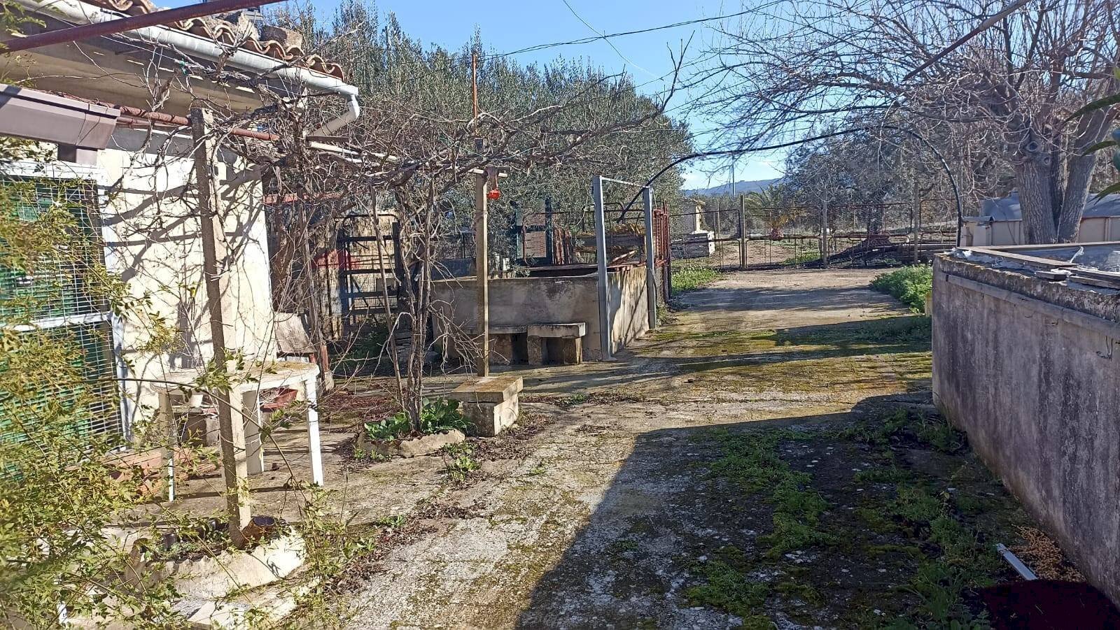 Giardino - Rustico contrada  mandredonna
 
snc, Chiaramonte Gulfi - foto 1