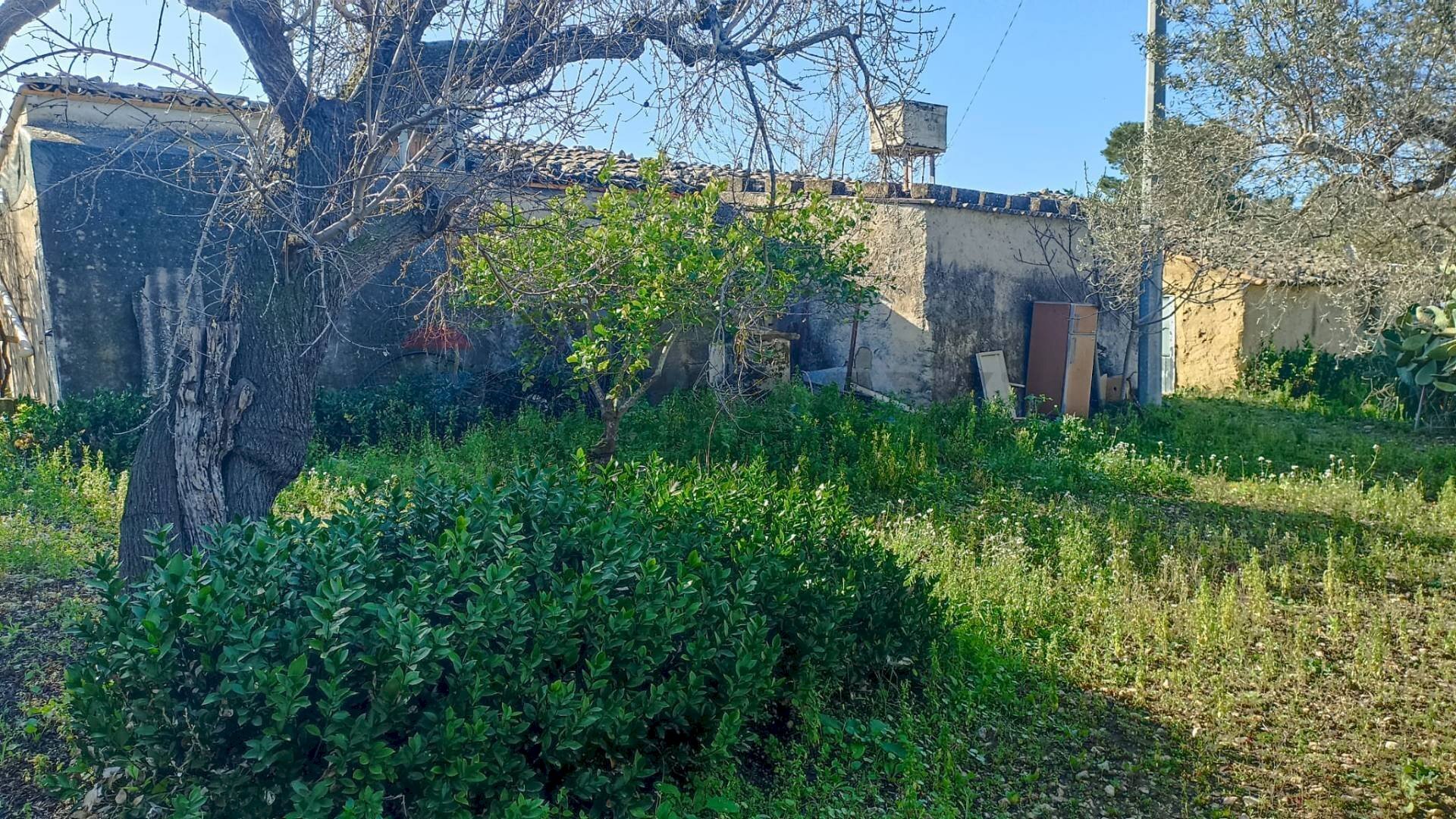 Giardino - Rustico contrada  mandredonna
 
snc, Chiaramonte Gulfi - foto 3
