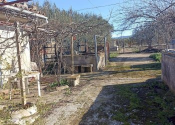 Giardino - Rustico contrada  mandredonna
 
snc, Chiaramonte Gulfi - foto 1