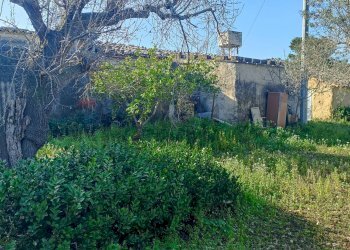 Giardino - Rustico contrada  mandredonna
 
snc, Chiaramonte Gulfi - foto 3