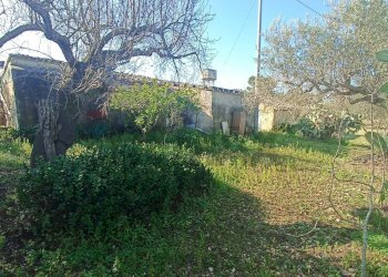 Giardino - Rustico contrada  mandredonna
 
snc, Chiaramonte Gulfi - foto 5