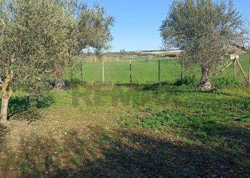 Giardino - Rustico contrada  mandredonna
 
snc, Chiaramonte Gulfi - foto 10