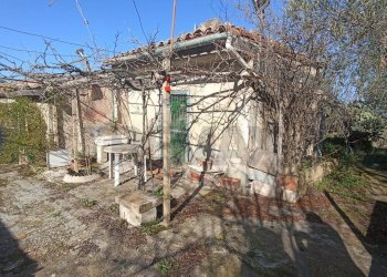 Giardino - Rustico contrada  mandredonna
 
snc, Chiaramonte Gulfi - foto 13