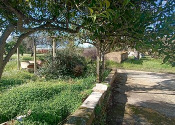 Giardino - Rustico contrada  mandredonna
 
snc, Chiaramonte Gulfi - foto 17