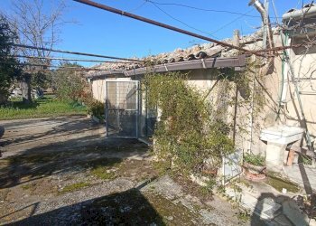 Giardino - Rustico contrada  mandredonna
 
snc, Chiaramonte Gulfi - foto 21