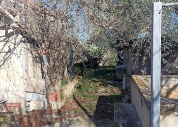 Giardino - Rustico contrada  mandredonna
 
snc, Chiaramonte Gulfi - foto 29
