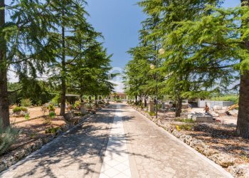 Foto 48 - Villa Contrada Cariati
 
Sn, Andria - foto 48