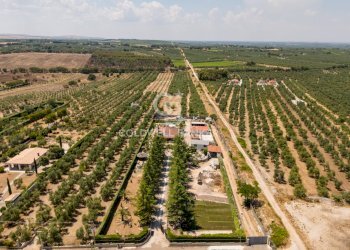 Foto 51 - Villa Contrada Cariati
 
Sn, Andria - foto 51