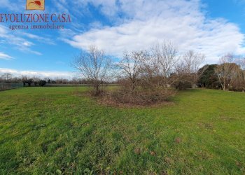 Foto 4 - Terreno agricolo piave
43, Turriaco - foto 4