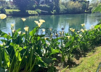 Foto 10 - Villa via benzi 42
 
42, Treviso - photo 10