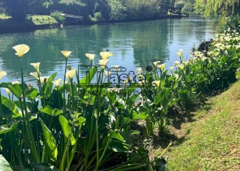 Foto 11 - Villa via benzi 42
 
42, Treviso - photo 11