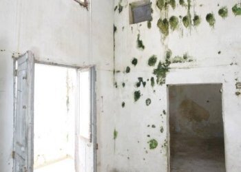 Interno non residenziale - Casa indipendente via San Lorenzo, Matino - foto 24