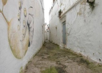 Cortile interno - Casa indipendente via San Lorenzo, Matino - foto 38