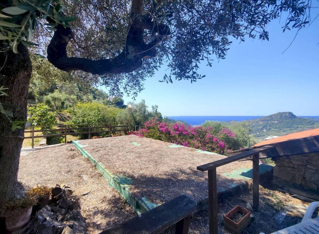 Piscina - Villa strada Maciurina, Vallebona - foto 2