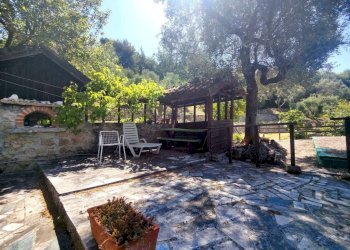 Giardino - Villa strada Maciurina, Vallebona - foto 4
