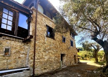 Facciata - Villa strada Maciurina, Vallebona - foto 6