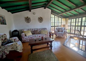 Salone - Villa strada Maciurina, Vallebona - foto 32