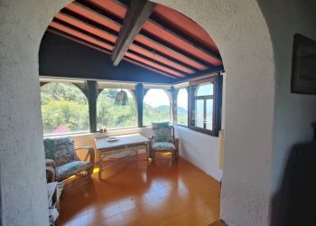 Salone - Villa strada Maciurina, Vallebona - foto 35