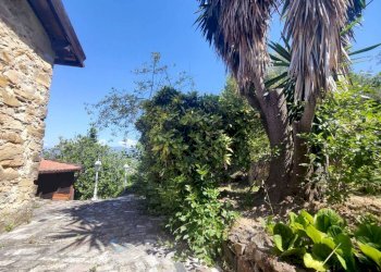 Giardino - Villa strada Maciurina, Vallebona - foto 44