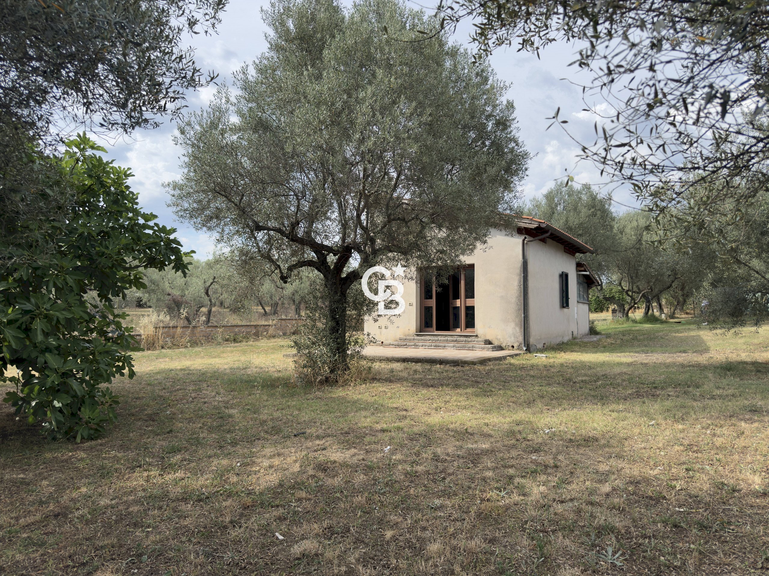 Foto 1 - Independent house Località Pian di San Martino
 
snc, Vetralla - photo 1