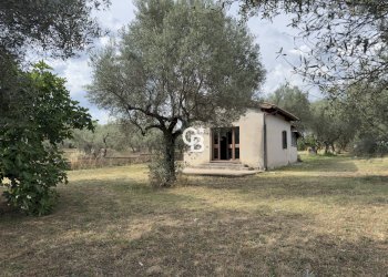 Foto 1 - Independent house Località Pian di San Martino
 
snc, Vetralla - photo 1