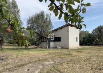Foto 4 - Independent house Località Pian di San Martino
 
snc, Vetralla - photo 4