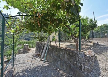 Foto 33 - Villa Strada Provinciale, Dolceacqua - foto 33