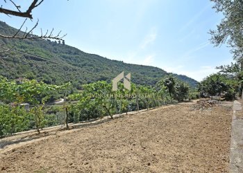 Foto 36 - Villa Strada Provinciale, Dolceacqua - foto 36