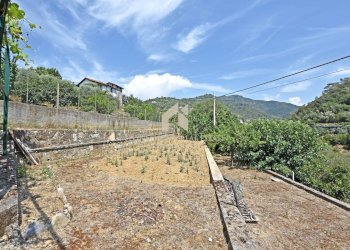 Foto 37 - Villa Strada Provinciale, Dolceacqua - foto 37