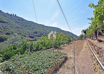 Foto 38 - Villa Strada Provinciale, Dolceacqua - foto 38