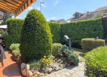 Giardino - Villa Rivalta di Torino - foto 7