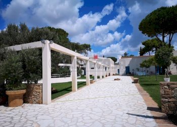 img-20180815-120223-largejpg - Locale Commerciale Santa Ninfa - foto 14