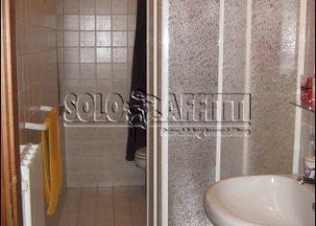 bagni - Appartamento Collesalvetti - foto 9