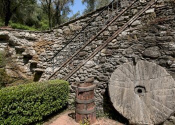 vendesi porzione in pietra Lucca - Terratetto - Terracielo Via di Vorno, Capannori - foto 13