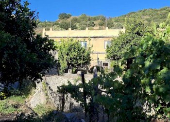 IMG-20260614-WA0000 - Three-family Villa Via Paterriti 19, Motta San Giovanni - photo 1