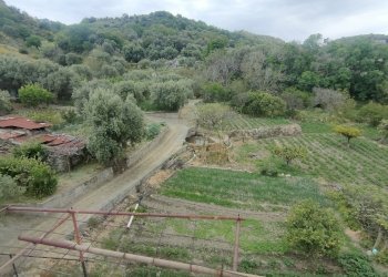 IMG20260429171711 - Three-family Villa Via Paterriti 19, Motta San Giovanni - photo 9