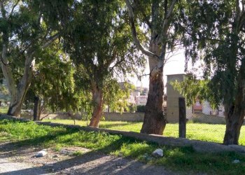 IMG-20181210-WA0063.jpg - Building land Ss 106 Km 19, Motta San Giovanni - photo 4