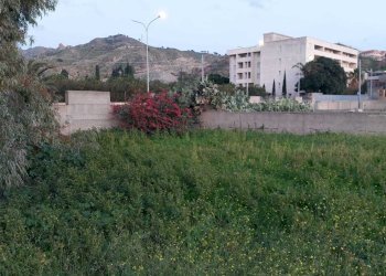 WhatsApp Image 2025-01-07 at 16.37.12.jpeg - Building land Ss 106 Km 19, Motta San Giovanni - photo 18