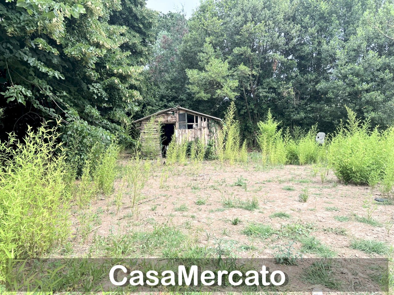 3 - Rustico Grottaferrata - foto 1