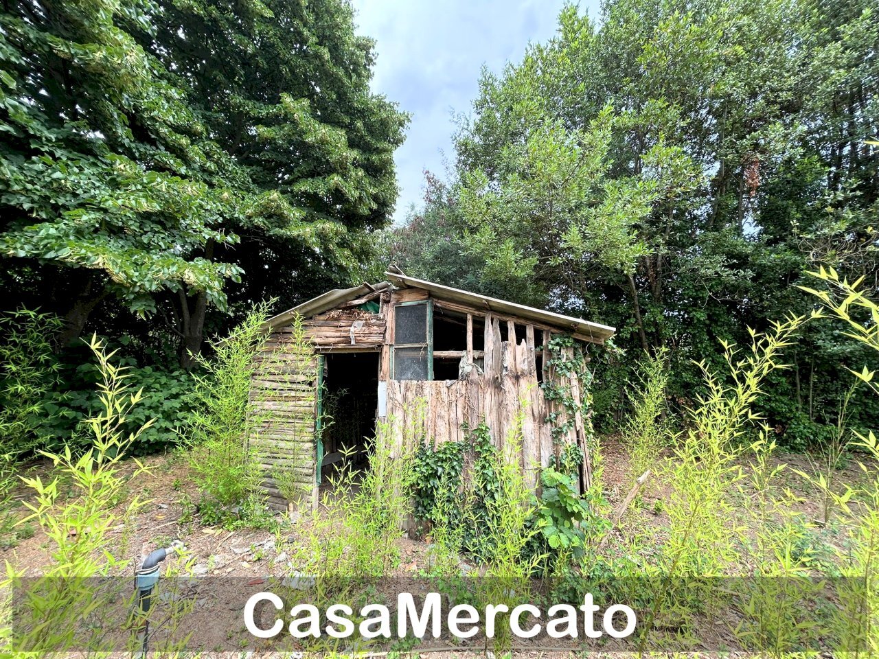 4 - Rustico Grottaferrata - foto 2