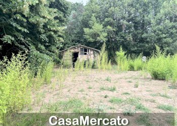 3 - Rustico Grottaferrata - foto 1