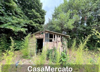 4 - Rustico Grottaferrata - foto 2